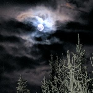 Meet your Posher, Bianca